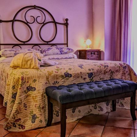 Le Civette Country Resort Bagno a Ripoli Zewnętrze zdjęcie